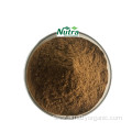 Organic Nutmeg Seed Extract 10:1 Powder